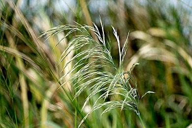 《天命奇御二》全新宣传视频！谜案重重的北宋之旅